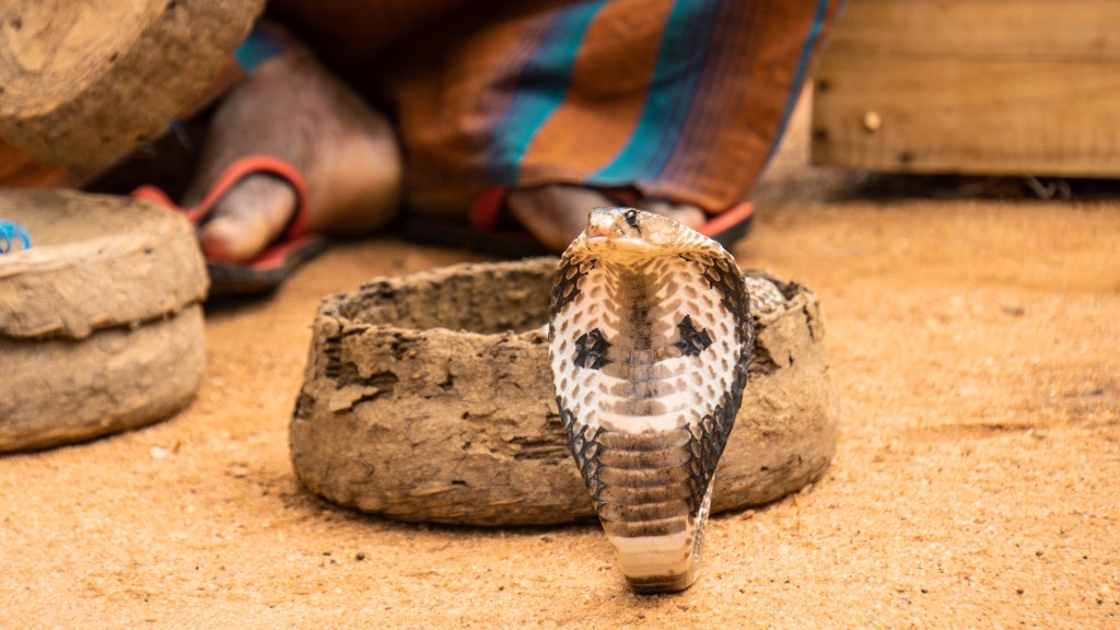 Cobra Snake On A Pedestal